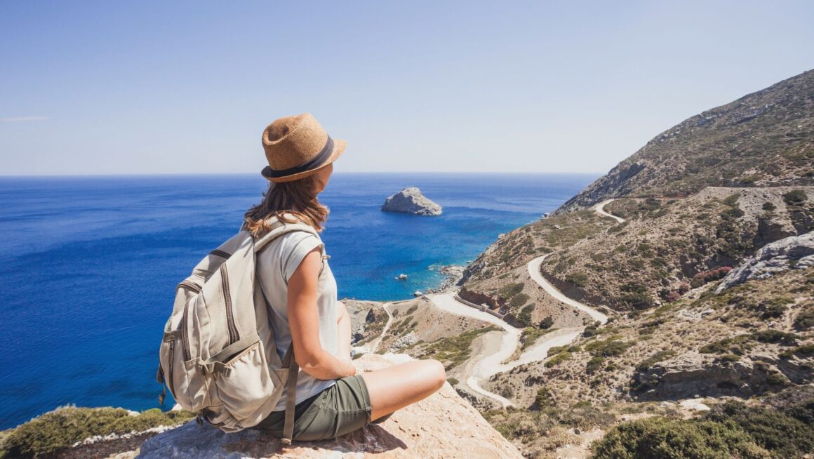 What Is Travel Portal Development and Why Your Company Needs It