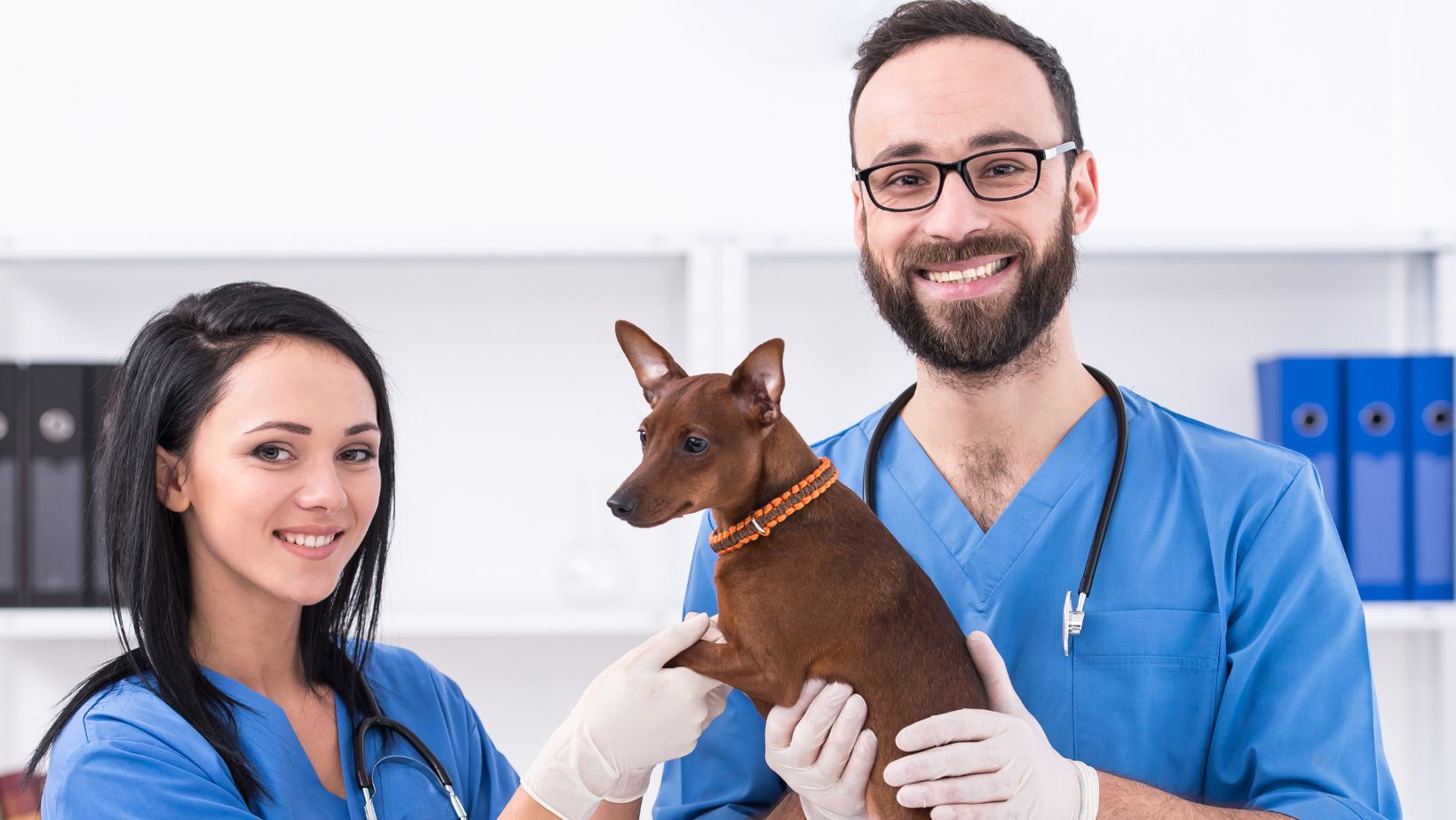 The Need for Thorough Employee Vetting The Need for Thorough Employee Vetting