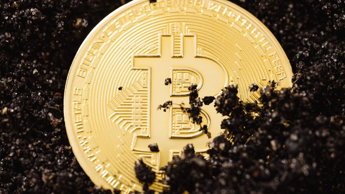 Consequences of Bitcoin Momentum on Digital Finance and New Technology Consequences of Bitcoin Momentum on Digital Finance and New Technology